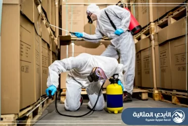 شركة مكافحة حشرات بخميس مشيط