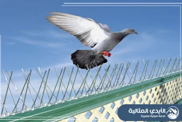 شركة مكافحة الحمام بخميس مشيط