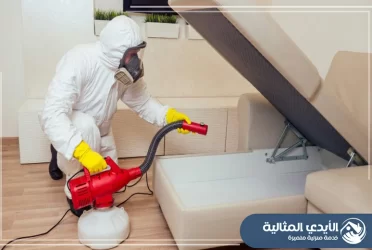 شركة مكافحة حشرات بجدة